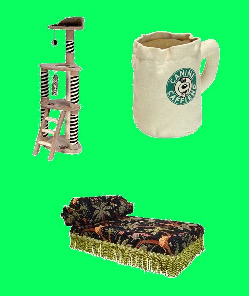 neek2.jpg